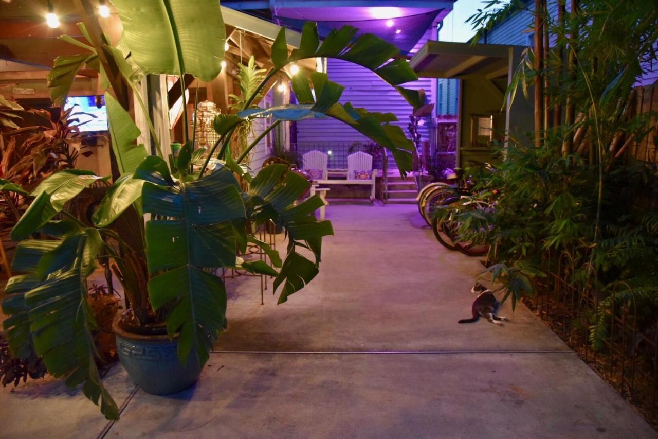 The Dragonfly Treme Guest House Nova Orleães Exterior foto