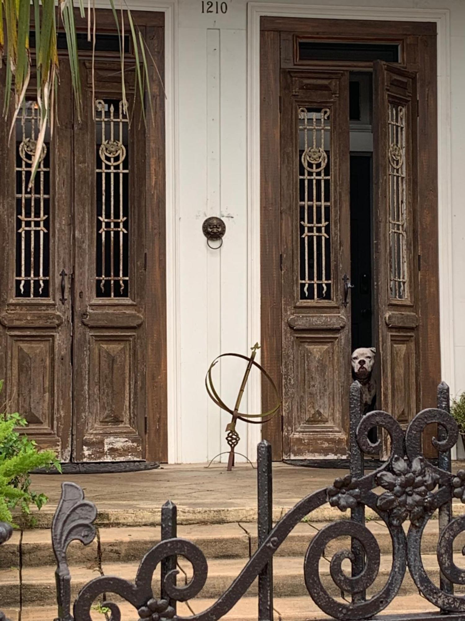 The Dragonfly Treme Guest House Nova Orleães Exterior foto